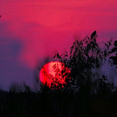 虚幻战场手游下载